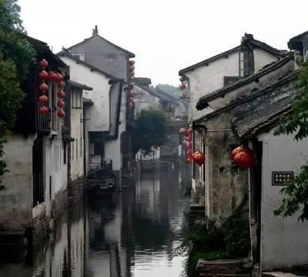 植物大战僵尸7